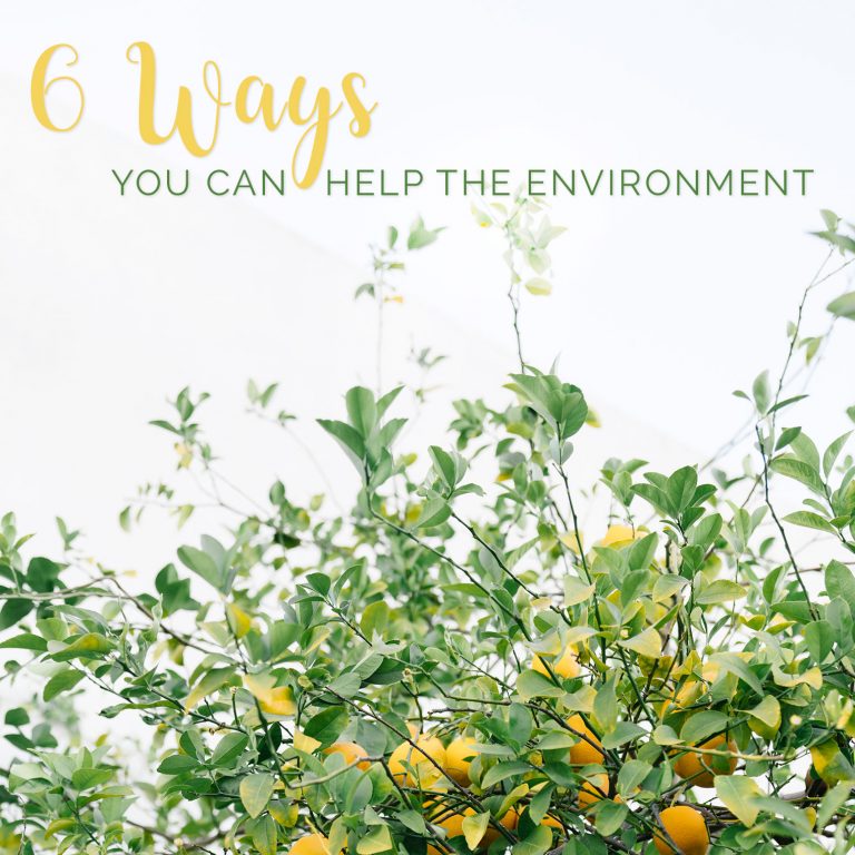 6 Ways You Can Help The Environment