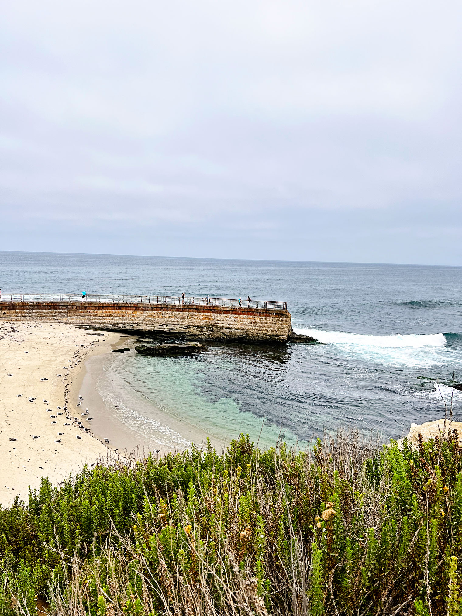 San Diego Recap: La Jolla, In-N-Out & Old Town