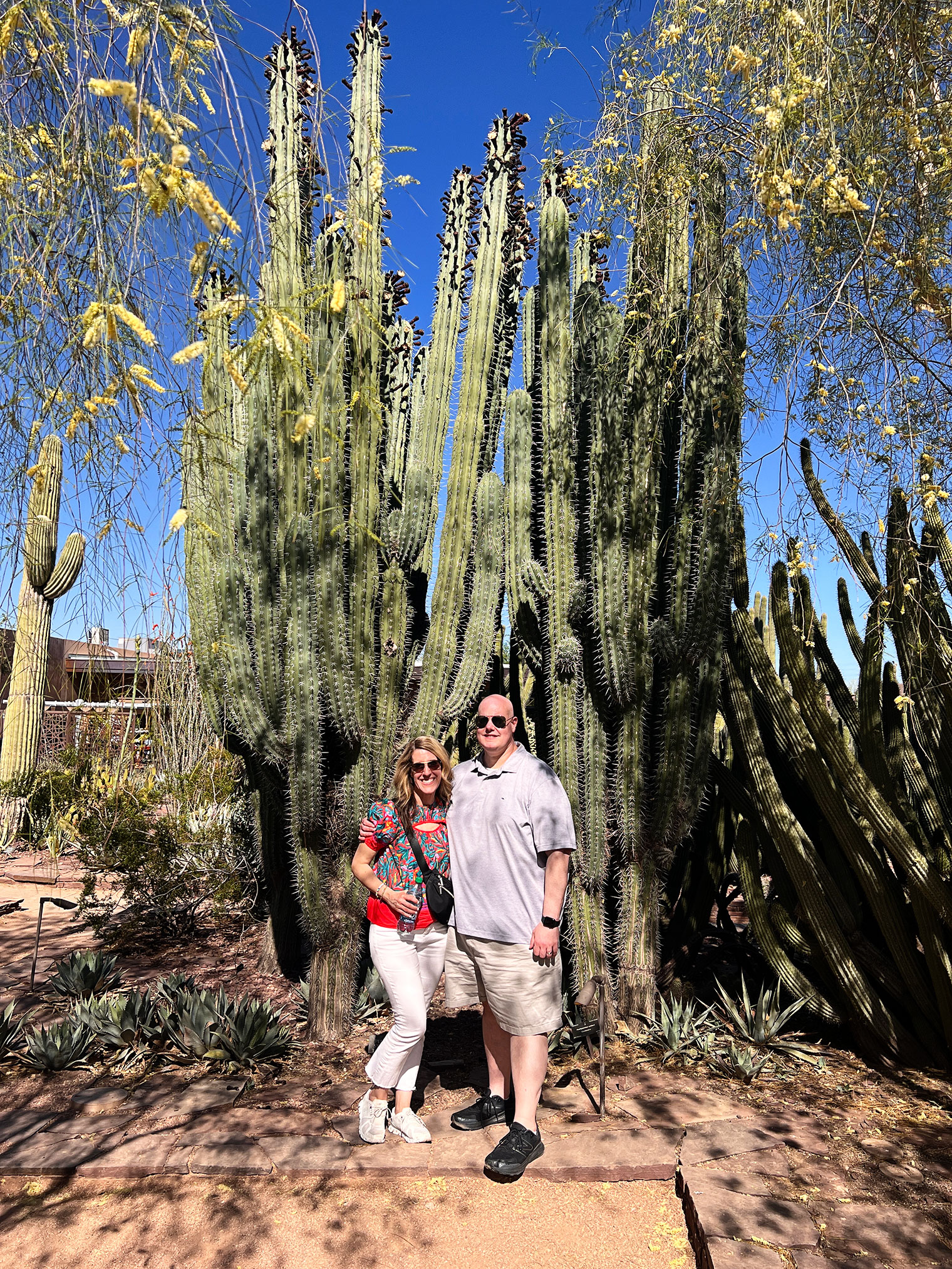 Four Seasons Resort, Desert Botanical Garden & Taliesin West – Scottsdale, Arizona {1 of 3}