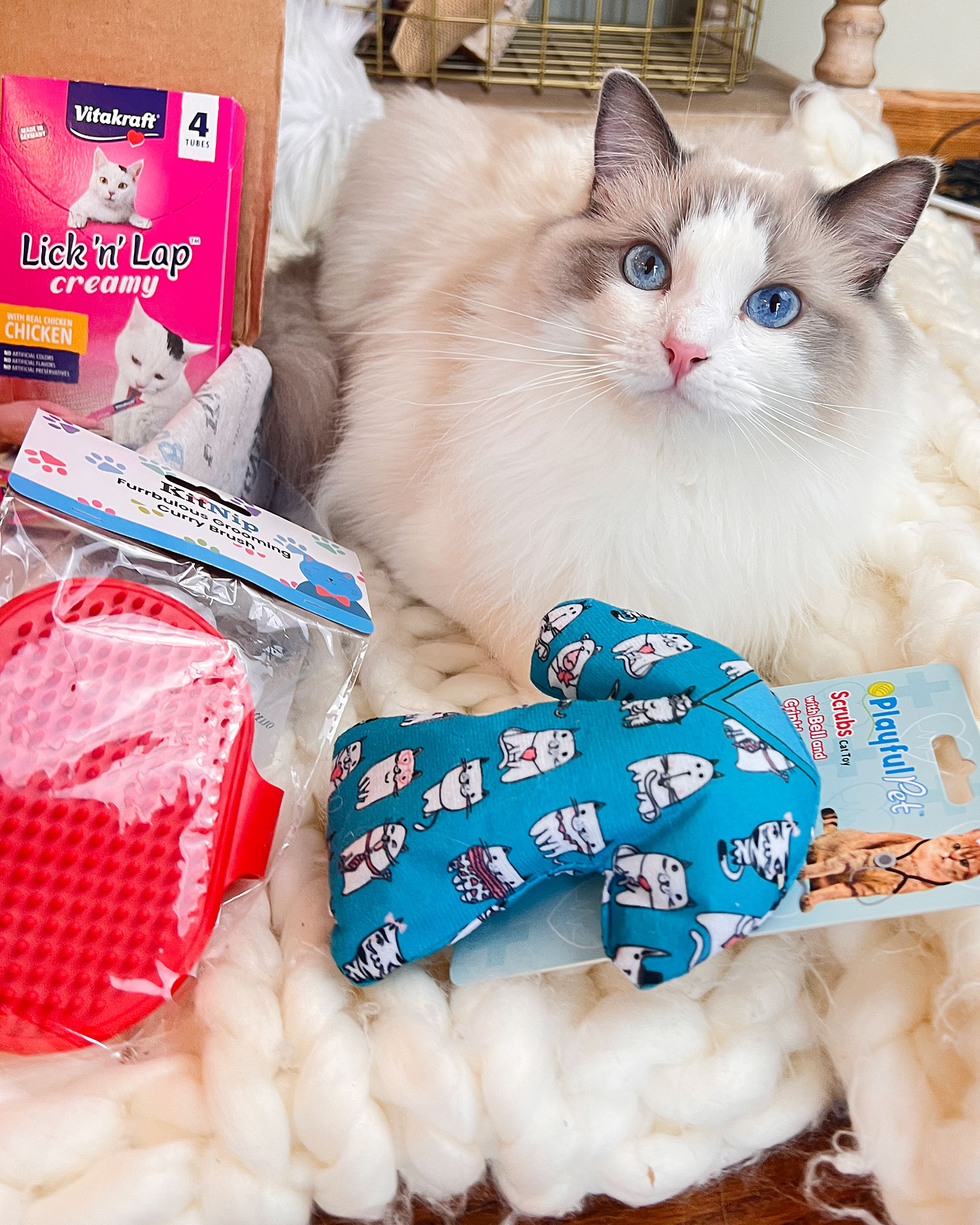 KitNipBox {Subscription Box for Cats!} Post 3